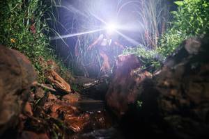 BIB: 
                            <button type="button" onclick="openModal(26413763)" class="btn btn-primary btn-sm float-right btn-popup" data-toggle="modal" data-target=".modal-high-quality">
                        <i class="fas fa-shopping-cart"></i> Add to Cart
                    </button>
                                            <button type="button" onclick="isThisMe(26413763, true)" class="btn btn-success btn-sm float-right btn-popup btn-isme hidden" data-toggle="tooltip" data-placement="bottom" title="นี่คือรูปของคุณใช่ไหม คลิกที่นี่เพื่อเอาเข้าอัลบั้ม">
                        <i class="fas fa-plus"></i> Add to album
                    </button>
                    <button type="button" onclick="isThisMe(26413763, false)" class="btn btn-warning btn-sm float-right btn-popup btn-isnotme hidden">
                        <i class="fas fa-ban"></i> Remove from album
                    </button>